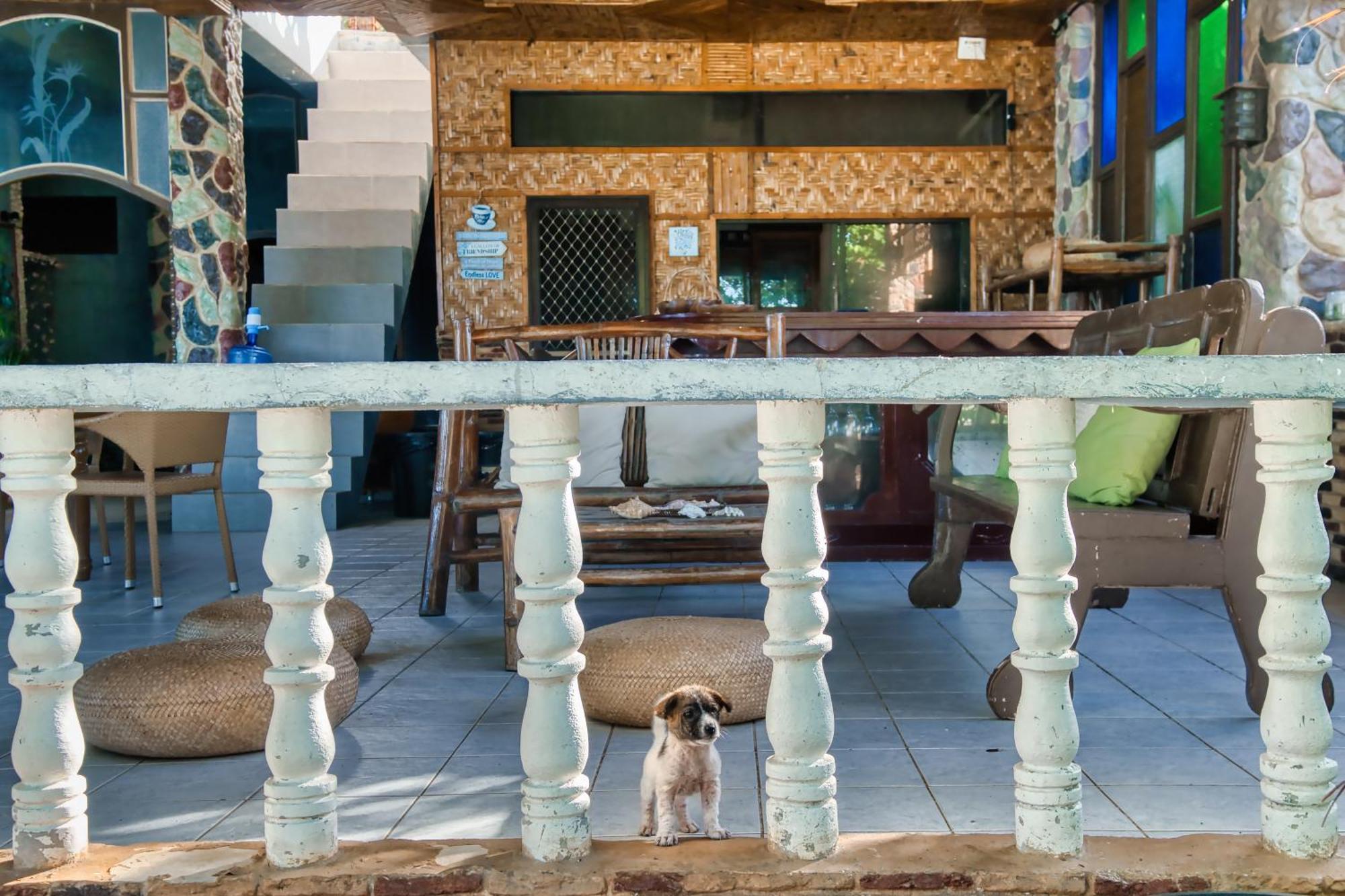 Pilar Pilapil Beach Resort Daanbantayan ภายนอก รูปภาพ
